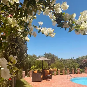 Apollonia - Blissful Garden Paradise With Pool Nestled In Nature Hotel